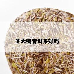 冬天喝普洱茶好吗