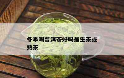 冬季喝普洱茶好吗是生茶或熟茶