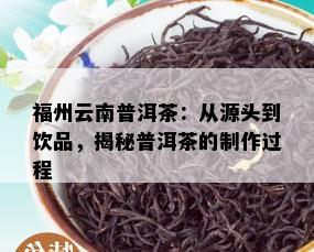 福州云南普洱茶：从源头到饮品，揭秘普洱茶的制作过程