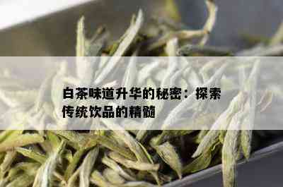 白茶味道升华的秘密：探索传统饮品的精髓