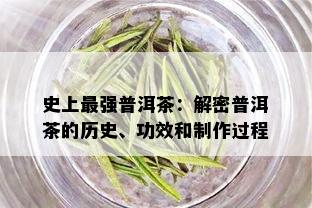 史上最强普洱茶：解密普洱茶的历史、功效和制作过程