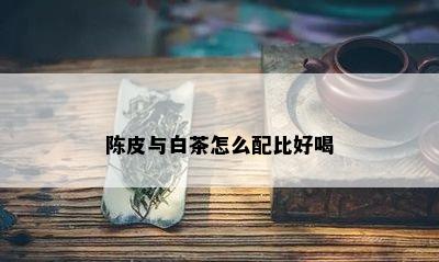 陈皮与白茶怎么配比好喝