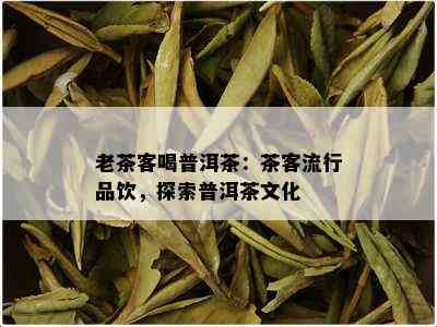 老茶客喝普洱茶：茶客流行品饮，探索普洱茶文化