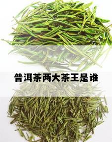 普洱茶两大茶王是谁