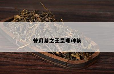 普洱茶之王是哪种茶