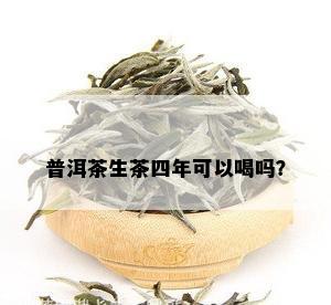 普洱茶生茶四年可以喝吗？