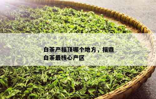 白茶产福顶哪个地方，福鼎白茶最核心产区