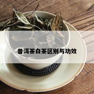 普洱茶白茶区别与功效