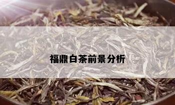 福鼎白茶前景分析