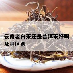 云南老白茶还是普洱茶好喝及其区别