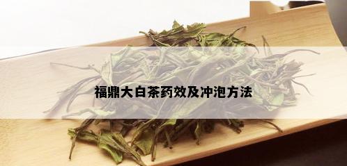 福鼎大白茶药效及冲泡方法