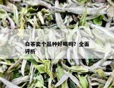 白茶卖个品种好喝吗？全面评析