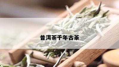 普洱茶千年古茶