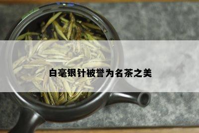 白毫银针被誉为名茶之美