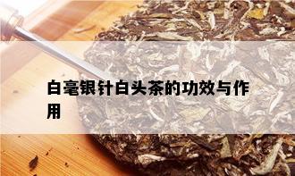 白毫银针白头茶的功效与作用