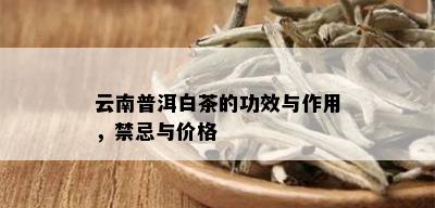 云南普洱白茶的功效与作用，禁忌与价格