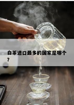 白茶进口最多的国家是哪个？