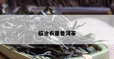 临沧农垦普洱茶