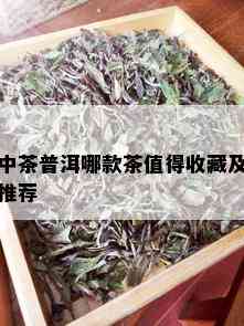 中茶普洱哪款茶值得收藏及推荐