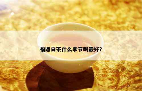 福鼎白茶什么季节喝更好？