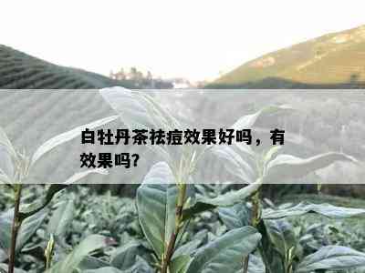 白牡丹茶祛痘效果好吗，有效果吗？