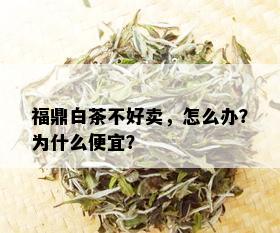 福鼎白茶不好卖，怎么办？为什么便宜？