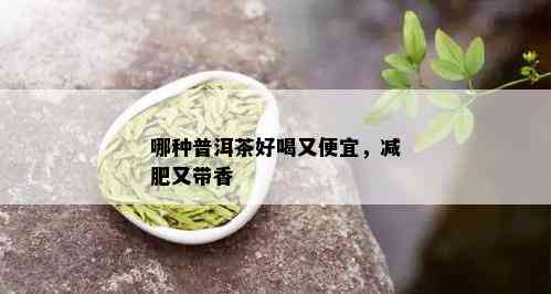 哪种普洱茶好喝又便宜，减肥又带香