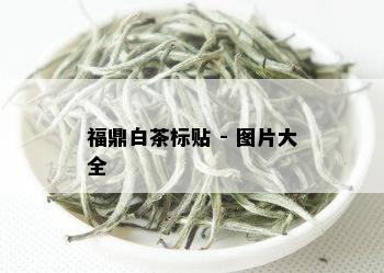 福鼎白茶标贴 - 图片大全