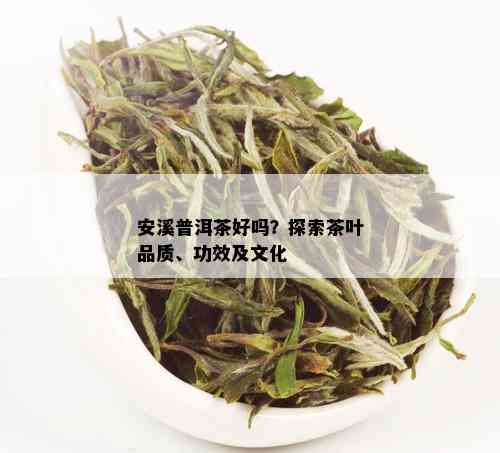 安溪普洱茶好吗？探索茶叶品质、功效及文化