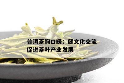 普洱茶胸口暖：健文化交流促进茶叶产业发展