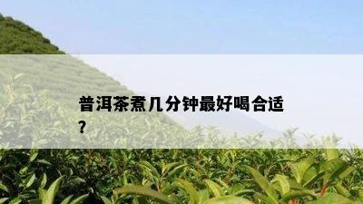 普洱茶煮几分钟更好喝合适？