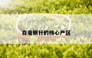 白毫银针的核心产区