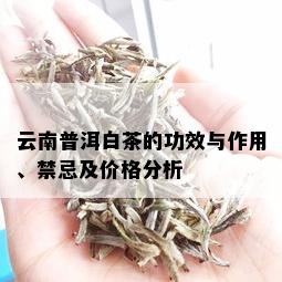 云南普洱白茶的功效与作用、禁忌及价格分析