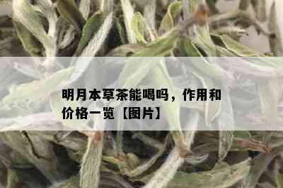 明月本草茶能喝吗，作用和价格一览【图片】