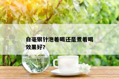 白毫银针泡着喝还是煮着喝效果好？