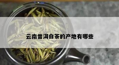 云南普洱白茶的产地有哪些