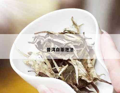 普洱白茶泡法