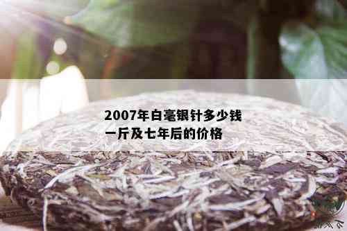 2007年白毫银针多少钱一斤及七年后的价格