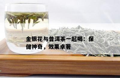 金银花与普洱茶一起喝：保健神奇，效果卓著