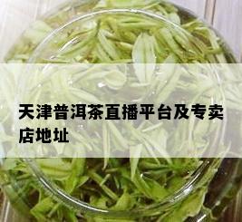 天津普洱茶直播平台及专卖店地址