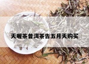 天喔茶普洱茶告五月天购买