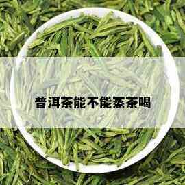 普洱茶能不能蒸茶喝