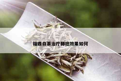 福鼎白茶治疗肺癌效果如何