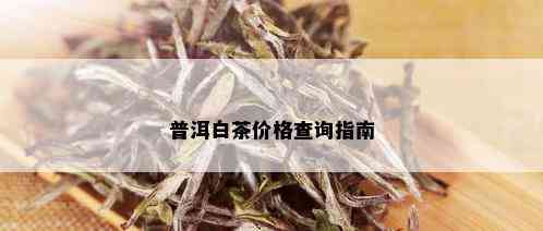 普洱白茶价格查询指南