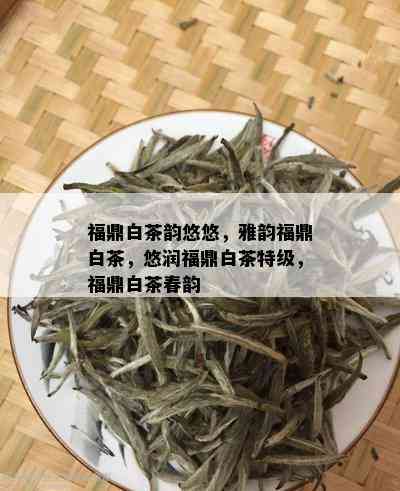 福鼎白茶韵悠悠，雅韵福鼎白茶，悠润福鼎白茶特级，福鼎白茶春韵