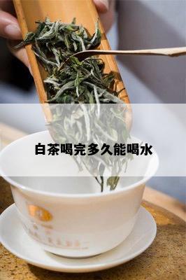 白茶喝完多久能喝水