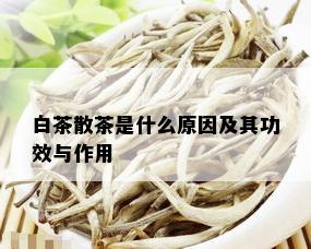 白茶散茶是什么原因及其功效与作用