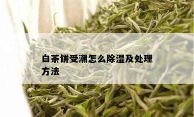 白茶饼受潮怎么除湿及处理方法