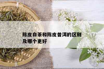 陈皮白茶和陈皮普洱的区别及哪个更好