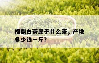 福鼎白茶属于什么茶，产地多少钱一斤？